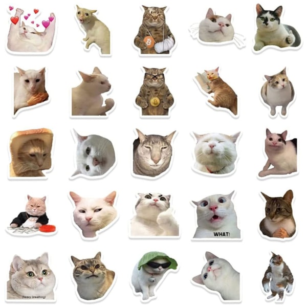 50 st Meme Cats Graffiti klistermärken för tonåringar Vuxna Kattälskare Skrivbordsdekaler