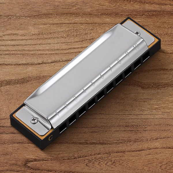 Blues Harmonica 10 Hull Diatonisk Blå Harp Munnspill Orgel for C-nøkkel Red