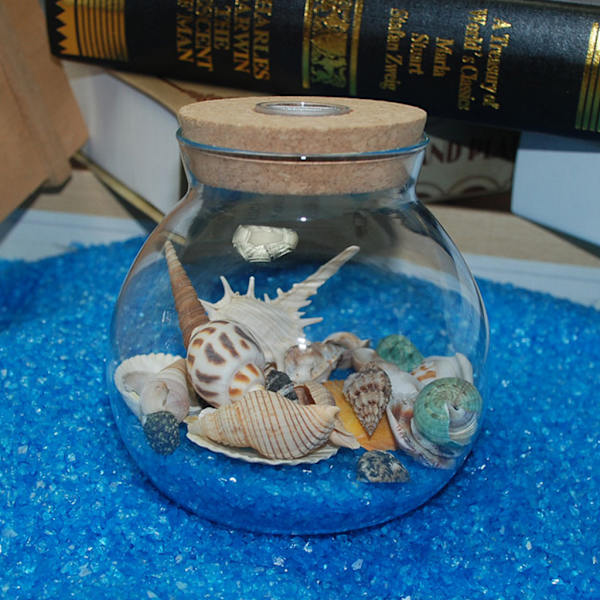 120g Natural Turbo Seashell Sea kotilo Erakkoraputalo Akvaario Käytännölliset kuoret Käsityöt Koristeet Valokuvaustarvikkeet