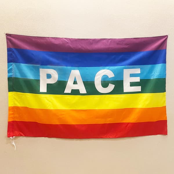 Regnbueflagg PACEPEACE Flagg Polyester Verdensfred Fargerikt Flagg Ornament