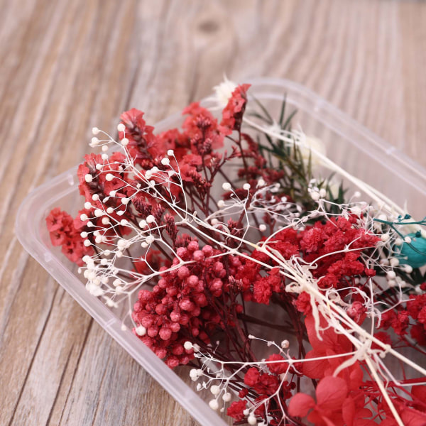 1 Box Real Mix Torkade blommor för Aromaterapi Ljus Harts Smycken Torra växter Pressade Blomster Tillverkning Hantverk Gör-det-själv-tillbehör Hemanvändning null - B