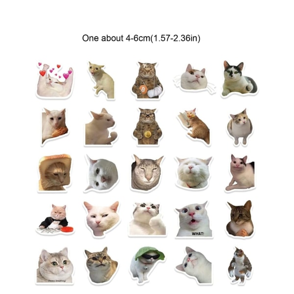 50 st Meme Cats Graffiti klistermärken för tonåringar Vuxna Kattälskare Skrivbordsdekaler