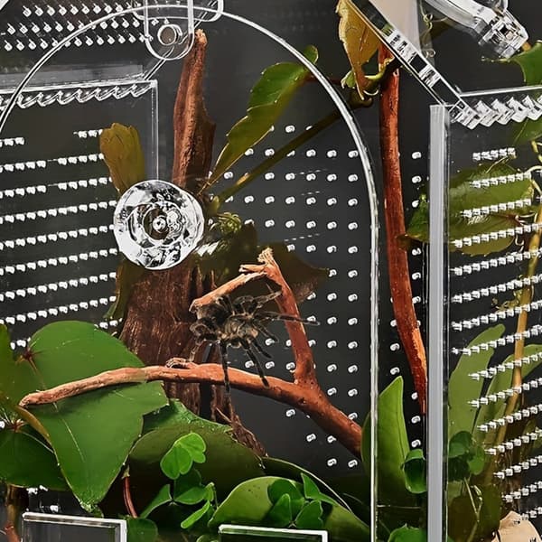 Brudsikkert akryl terrarium til krybdyr til observation af planter og padder