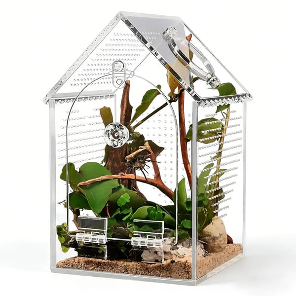 Brudsikkert akryl terrarium til krybdyr til observation af planter og padder