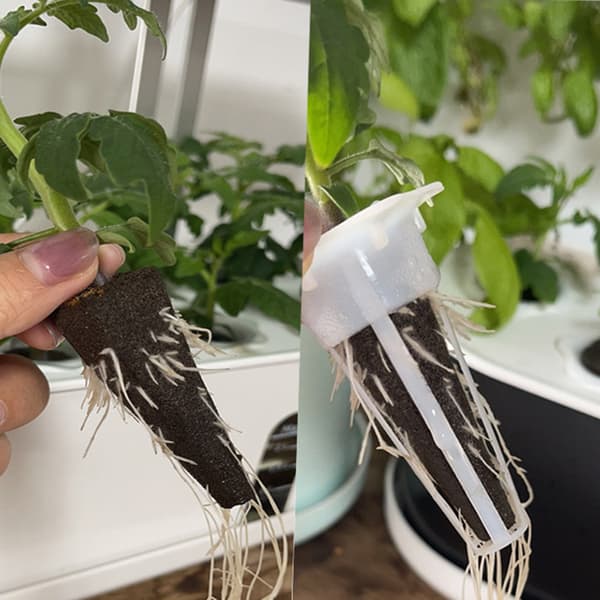 Tillbehör för växtodling Startkapslar Trädgårdsplantering Hydroponisk Plug Svamp