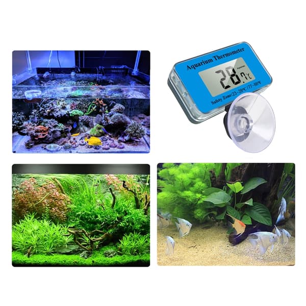 Digitale akvarietermometre med dobbeltskala og display