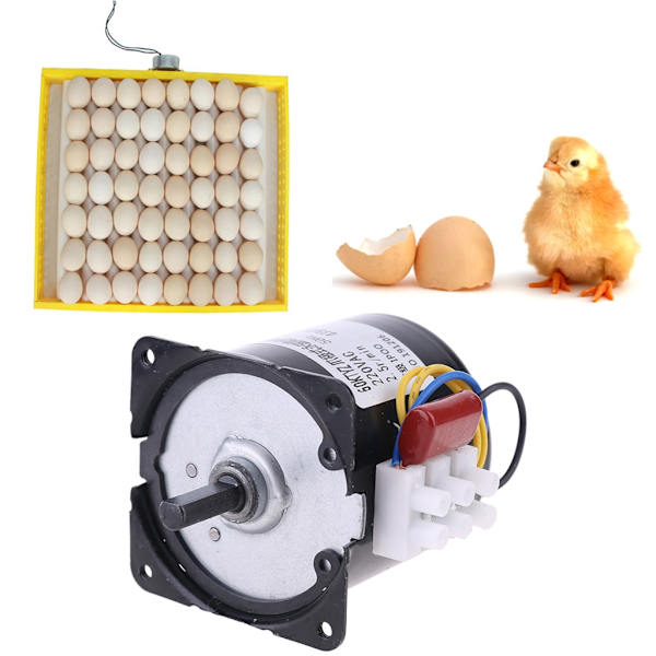 220V Automatisk Inkubator Egg Hatcher Motor Reversibel girmotor 2,5r/min