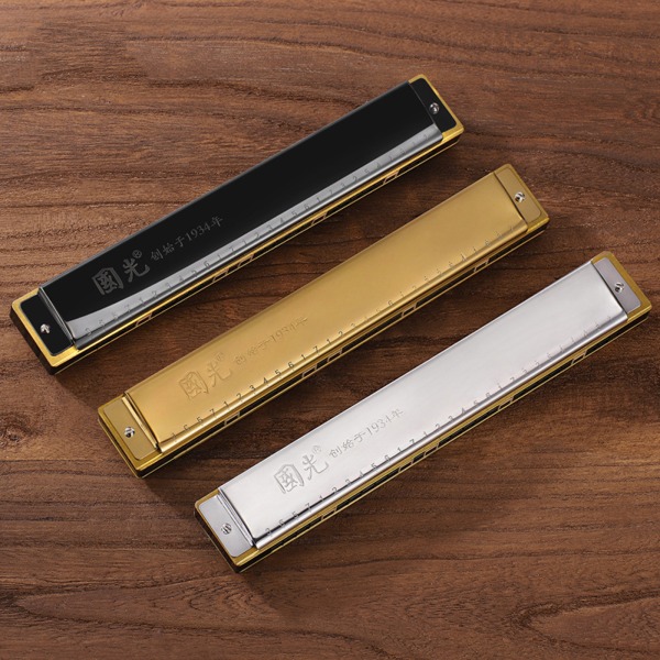 Blues Harmonica in C, 28 Holes Harp Diatonic Harmonica, Mouth Organ Harmonica Silver 28 hole polyp