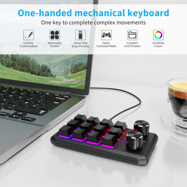 RGB-programmerbart makrotangentbord 12 tangenter Plug-Play Mini-tangentbord för enhandsspel Black