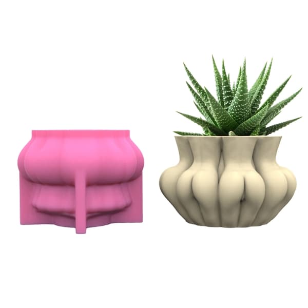 Form Suckulent blomkruka Form Spegel Form