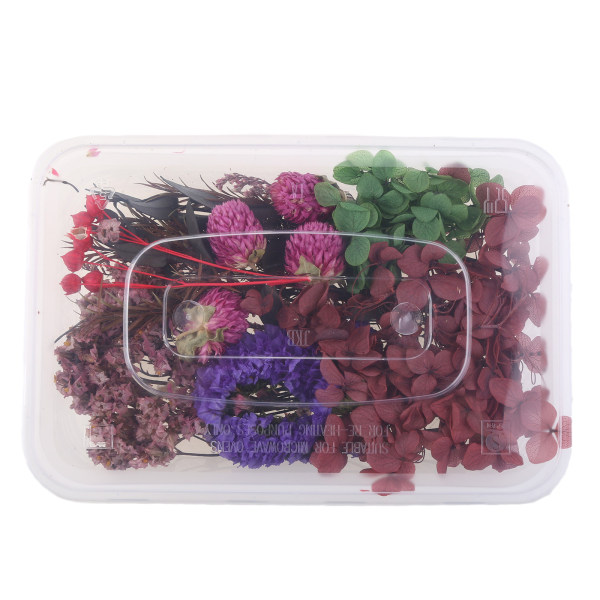 1 Box Real Mix Torkade blommor för Aromaterapi Ljus Harts Smycken Torra växter Pressade Blomster Tillverkning Hantverk Gör-det-själv-tillbehör Hemanvändning null - B