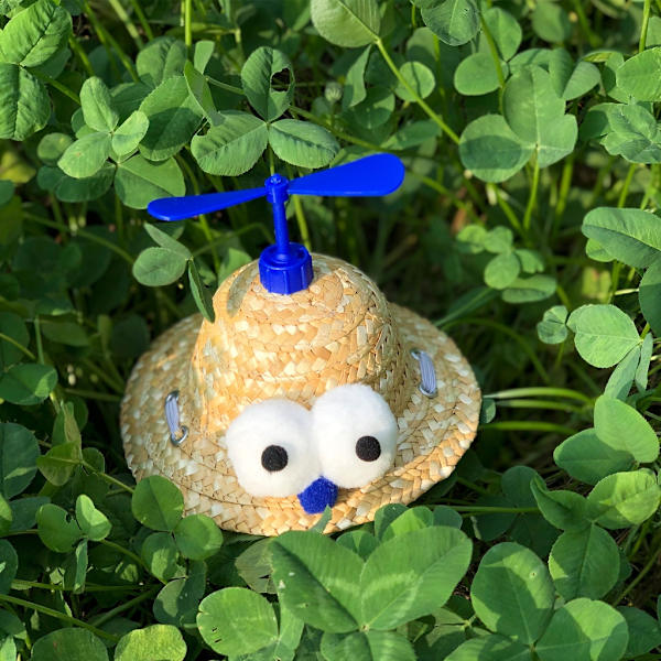Liten sällskapsdjur Halm Solhatt Härlig kostymhatt för hundar Valp Mini Bucket Hat Sommarsol Cap för hundar Tjej Pojkar
