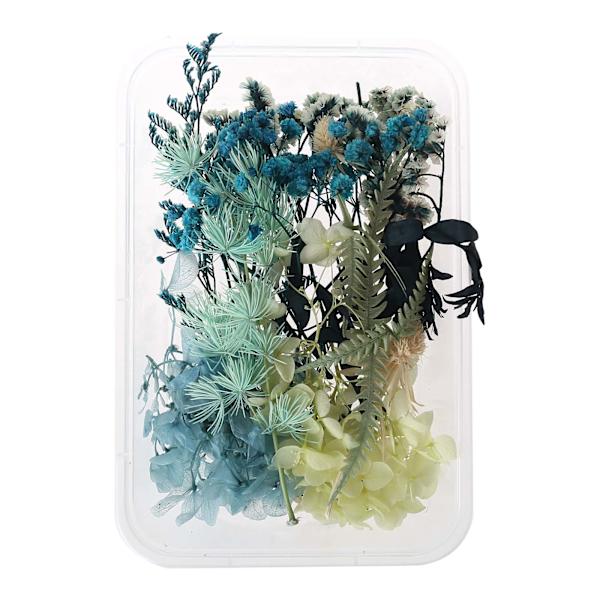 1 boks Real Mix Tørkede Blomster for Aromaterapi Lys Harpiks Smykker Tørre Planter Presset Blomster Making Håndverk Gjør-det-selv-tilbehør Hjemmebruk