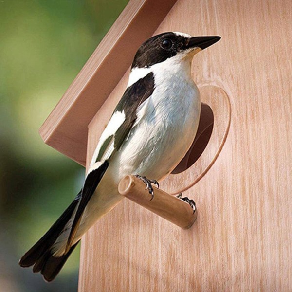 Utomhusbo för fågeluppfödning uppmuntrar uppfödning av fågelhus för fönster