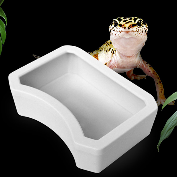 Krybdyr Vandskål Madskål Padder foderbassinbakke til kæledyrskildpaddeøgle til frø Gecko Slange Kamæleon Habitat White M
