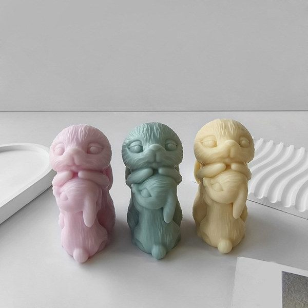 DIY form för att göra molds unika mould C