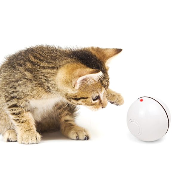 Cats Toy Elektriska bollar med LED-ljus Automatisk interaktiv USB laddning Slumpmässig rörlig leksak för inomhuskatter Kattunge White