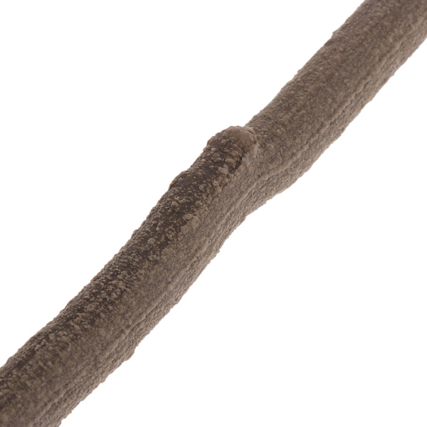 3 fod lang Animal Vine Twistable Branch Realistisk krybdyr Habitat dekoration