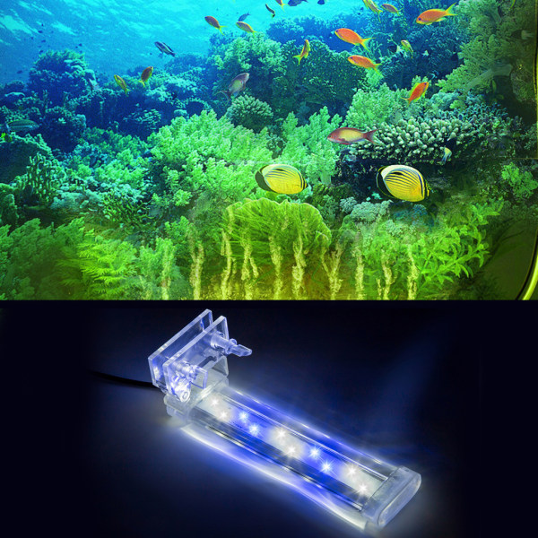 Aquarium Light LED Clip Lights for Fish for Tank Power Saving Hög ljusstyrka Vit & Blå Belysning Separat Power Switch 160