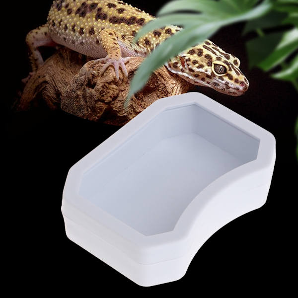 Krybdyr Vandskål Madskål Padder foderbassinbakke til kæledyrskildpaddeøgle til frø Gecko Slange Kamæleon Habitat White M