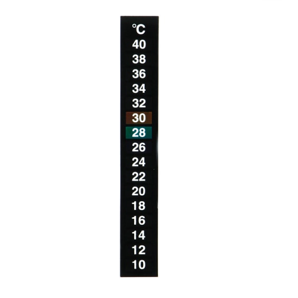 Stick On Thermometer Strip Digital temperaturdisplay for fermentering Brygning av vinøl Kombucha Aquariums Fish for Tank