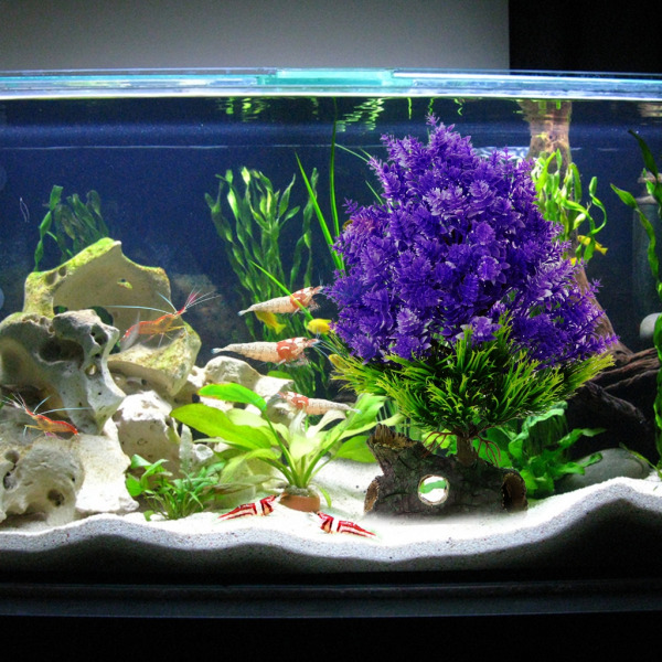 Glas Aquarium Ornament Små akvarier Aqua-Plants Dekoration Fish Safety Toy  Purple ff70 | Purple | 0.14 | Fyndiq