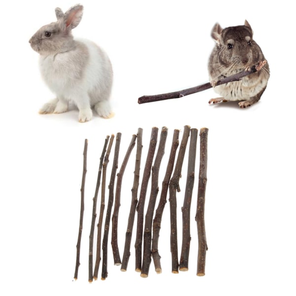50 g naturliga tuggpinnar för sällskapsdjur Hamstertuggleksaker Djurgodis för hamster marsvin papegoja ekorre kanin valp tandvård
