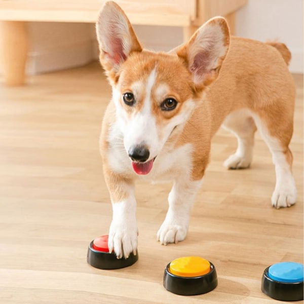 Rolig Hund Inspelningsbar leksak Resor Pratande Pet Starters Pet Talande Knappar Bärbar Söt Husdjursmaterial Kommunikation Hund Orange