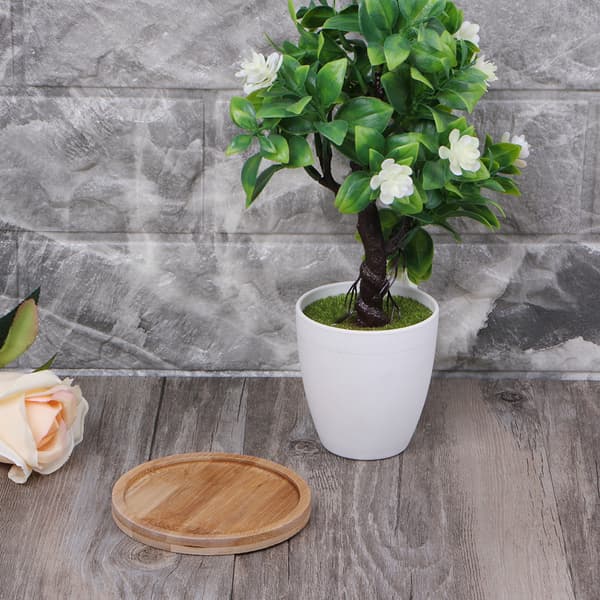 Rund Bambu Träfat Växtbricka Mini Växt Blomkruka Ställning Prydnad Suckulent
