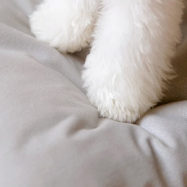 Kæledyrstelt Blød Seng Maskinvaskbar Husdesign Seng til Katte Små Hunde