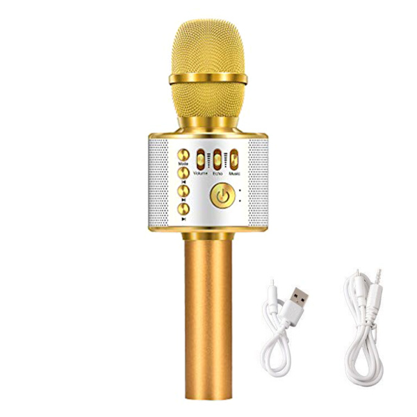 Trådlös handhållen mikrofon Skyddsmikrofonhögtalare USB Uppladdningsbar Bluetooth-kompatibel KTV Karaoke Machine Player
