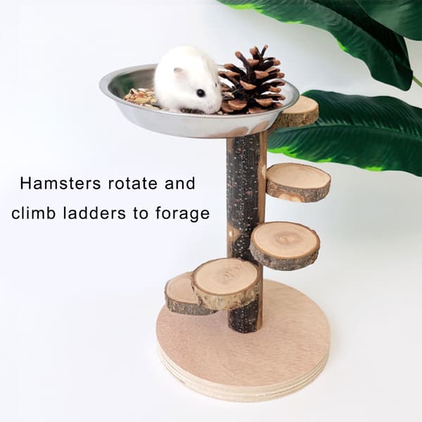Stege Hamster Plattform Utrustning Roterande Stege Säker Tuggtålig