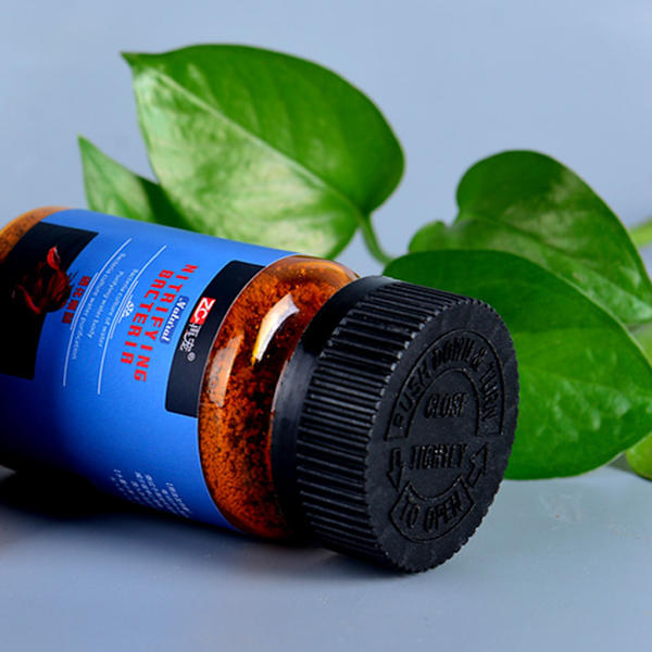 Nitrifierande bakterier Pulver Etablera nitrifikationssystem Ta bort lukter 2,3 oz
