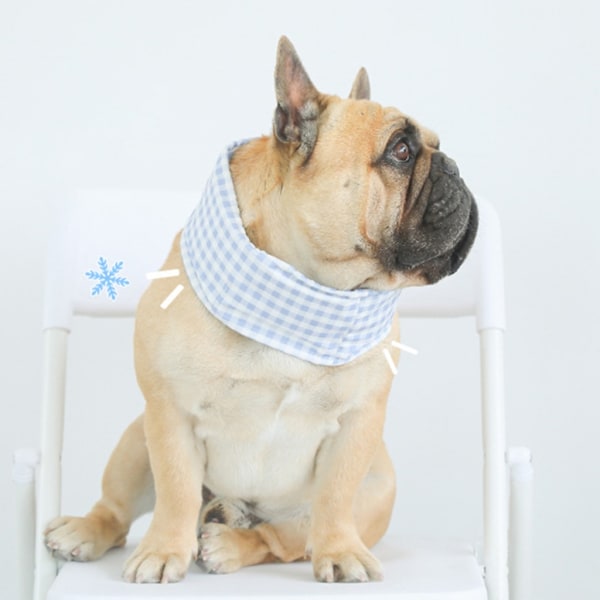 Sommarkylhalsband för hundar Anti-Sunstroke-halsband för små medelstora hundar Pink strawberry S