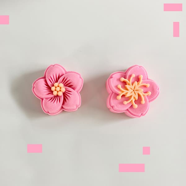 Månkakform Midhöstfestival Kakform Blomkaka Månstämplar