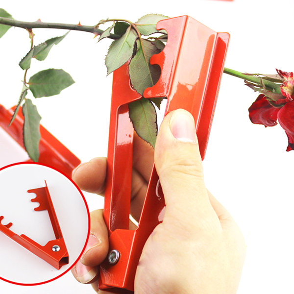 Rose Thorn Remover Flower Stripper Solid Metal Tree Leaf Cut Tool för trädgård