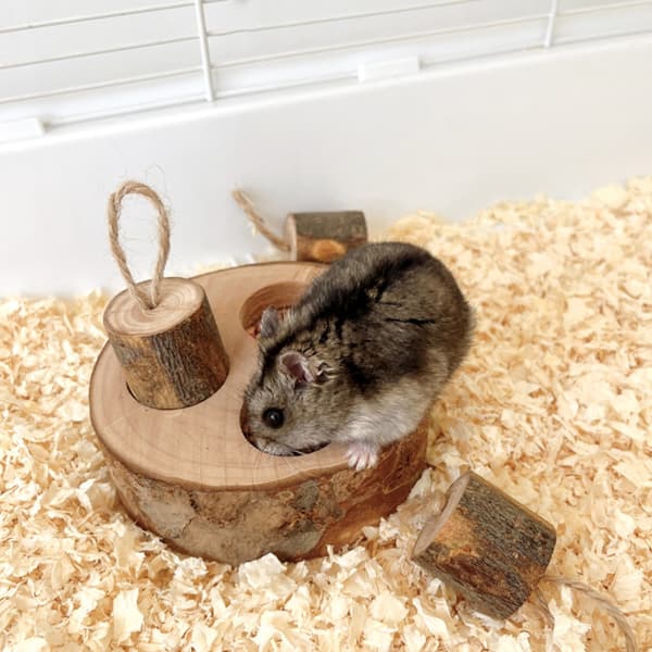 Kaniner Træ Foderbræt Hamster Godbidder Dispenser Kæledyr Naturlig Foderforsyning