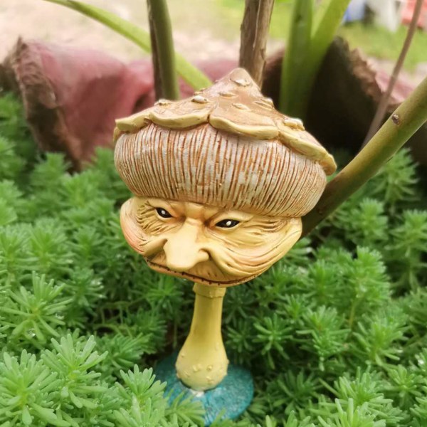 Lyckliga miniatyrsvampar för trädgårdsgård Gräsmatta Prydnad Fairy Garden Funny Face Svampstatydekoration