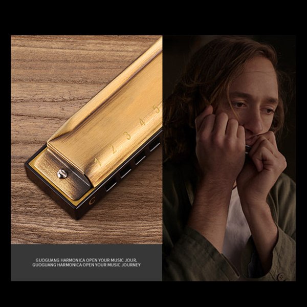 Blues Harmonica 10 Hull Diatonisk Blå Harp Munnspill Orgel for C-nøkkel Silver