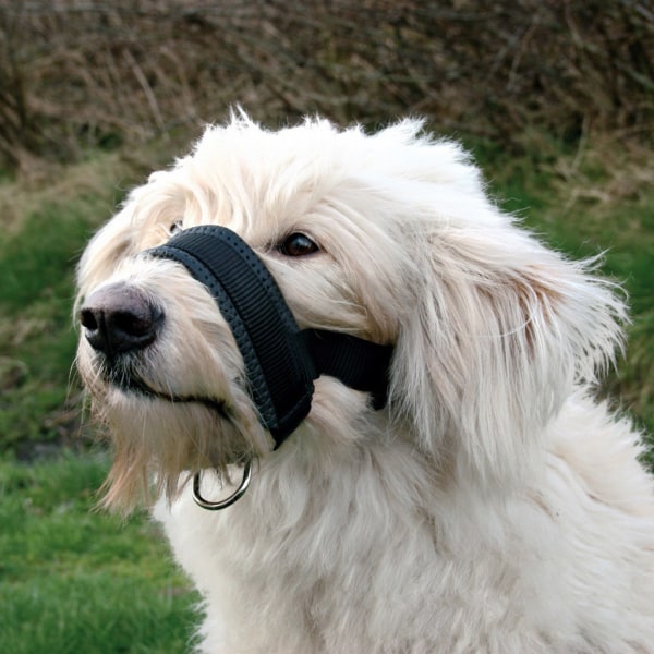 Vadderat hundmunkorg för stora hundar sällskapshund Nylon Anti-Biting Dog for Head La XL