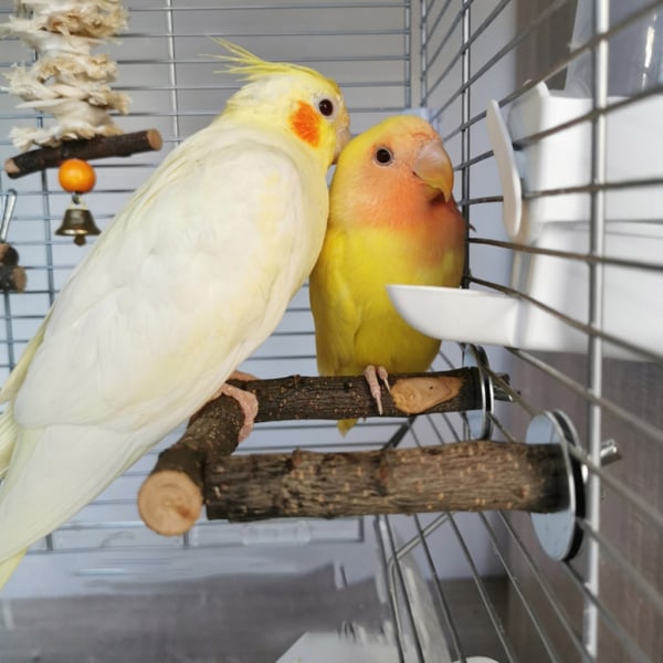 Fågel sittpinnar Naturträ Stativ U-formad Bar Cage Toy för Cockatiels Conures L