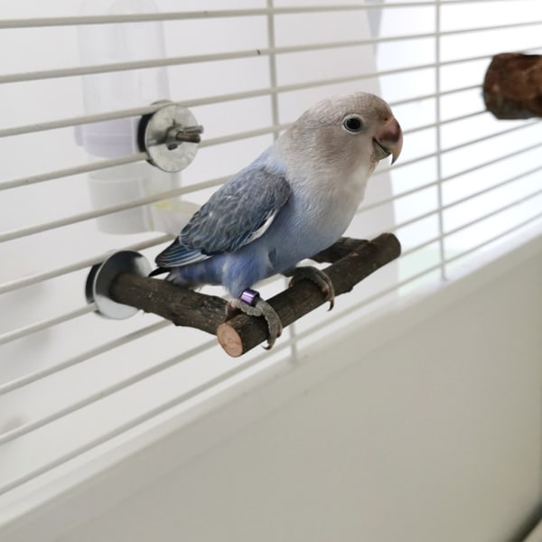 Fågel sittpinnar Naturträ Stativ U-formad Bar Cage Toy för Cockatiels Conures L