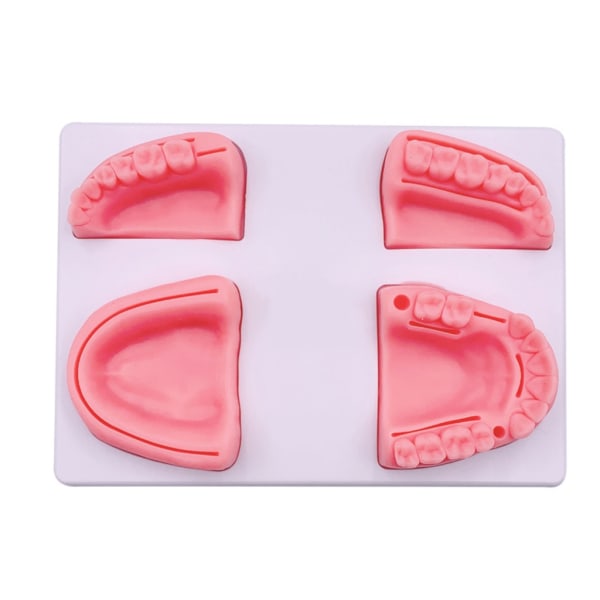 4-i-1 Dental Sutur Practice Pad Set med 4 forskjellige Dental Silikon Sutur Pads for Tannsykepleier Sutur Training