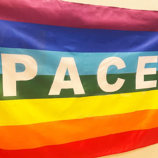 Regnbueflagg PACEPEACE Flagg Polyester Verdensfred Fargerikt Flagg Ornament