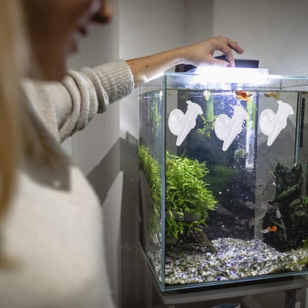 6 st Transparenta akvariefoderautomater med sugkopp, räkfoderkopp för akvarier