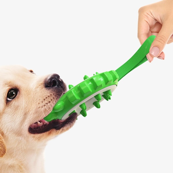 IQ Treat Toy for Dogs Interactive Molar Improving Pet Matsmältning Molar Chew Toy Lake Blue