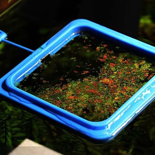 Akvariefoderring Flydende Foderringe Fodertrug Foderautomat til Guldfisk