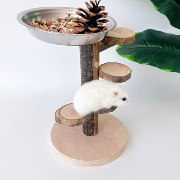 Stege Hamster Plattform Utrustning Roterande Stege Säker Tuggtålig