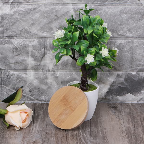 Rund Bambu Träfat Växtbricka Mini Växt Blomkruka Ställning Prydnad Suckulent