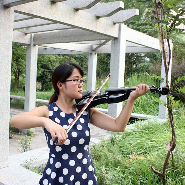 Professionell violin, nybörjarviolin lämplig för studenter och professionella